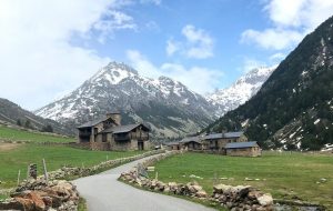 Course de cote d'Arinsal-Andorre : les Andorrans intraitables sur leur terrain